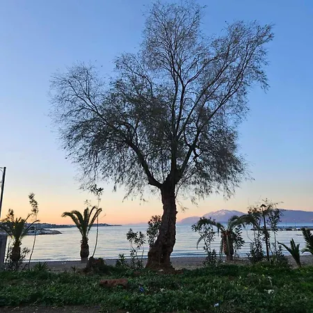 Apartamento Zoe's By The Sea Chalkís